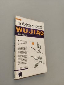 爭鳴中篇小說20篇