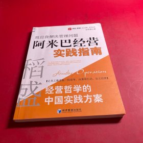 稻盛和夫经营哲学中国实践方案·用经营把管理做简单：阿米巴经营实践指南