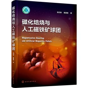 正版 磁化焙烧与人工磁铁矿球团 张汉泉,路漫漫 化学工业出版社