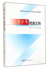 【正版书籍】青少年社会工作