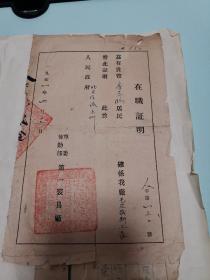 在职证明.1951年