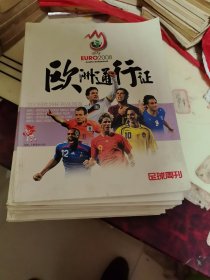 2008欧洲杯观战图鉴