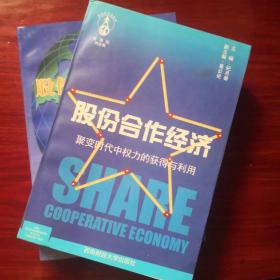 股份合作经济:聚变时代中的权力的获得与利用/股份合作制常识100问（共两本）