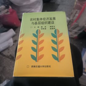 农村集体经济发展与基层组织建设