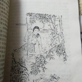 孔雀开屏迊朝阳——100号
