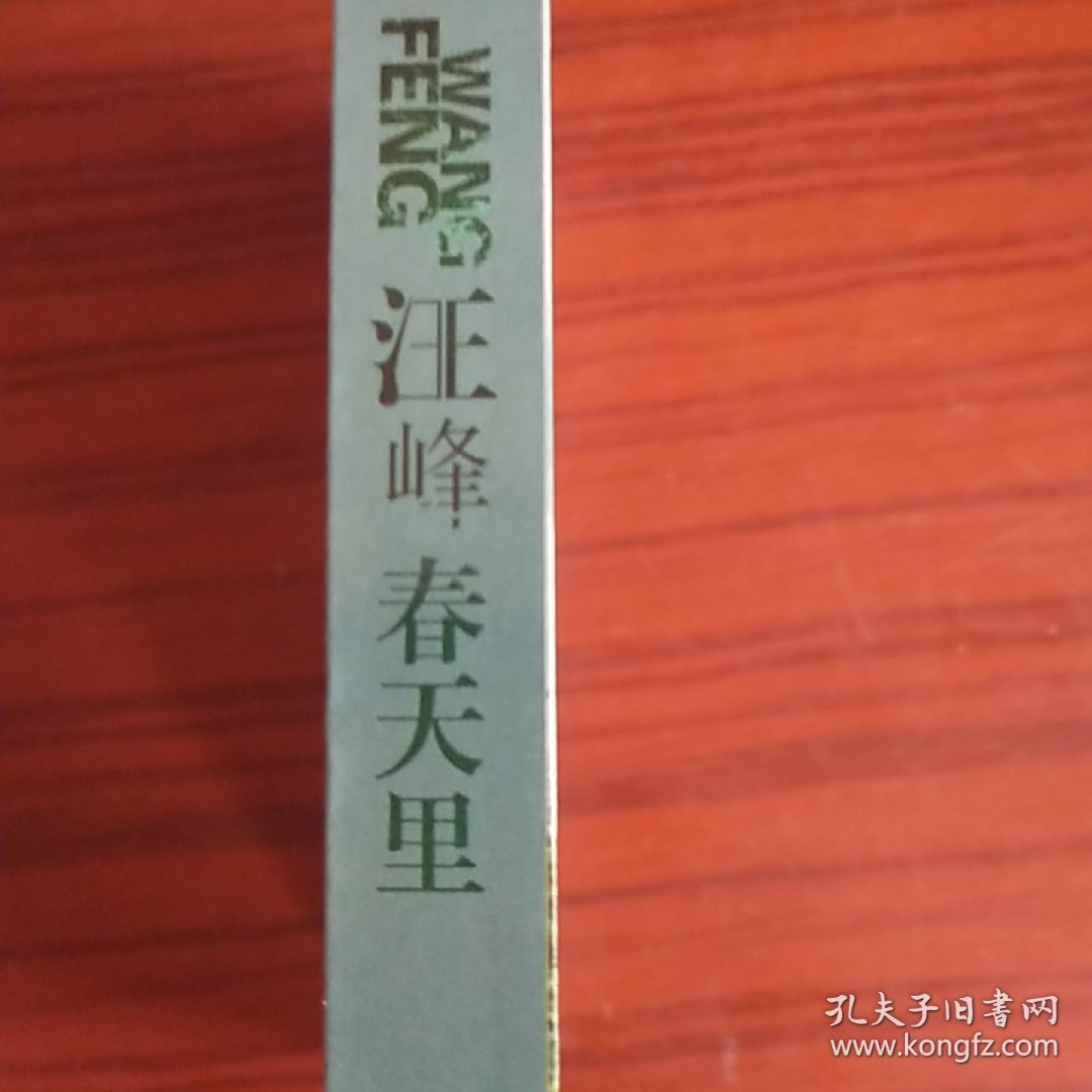 汪峰 春天里2DVD