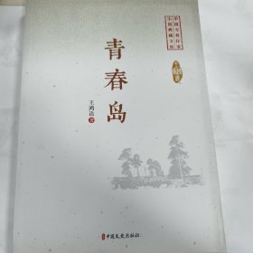 青春岛/中国专业作家小说典藏文库