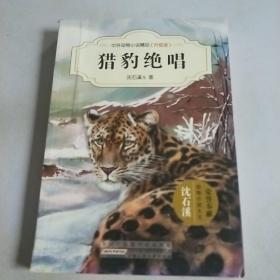 中外动物小说精品（升级版）：猎豹绝唱