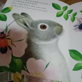 亮丽精美触摸书：小兔比利（中英双语）