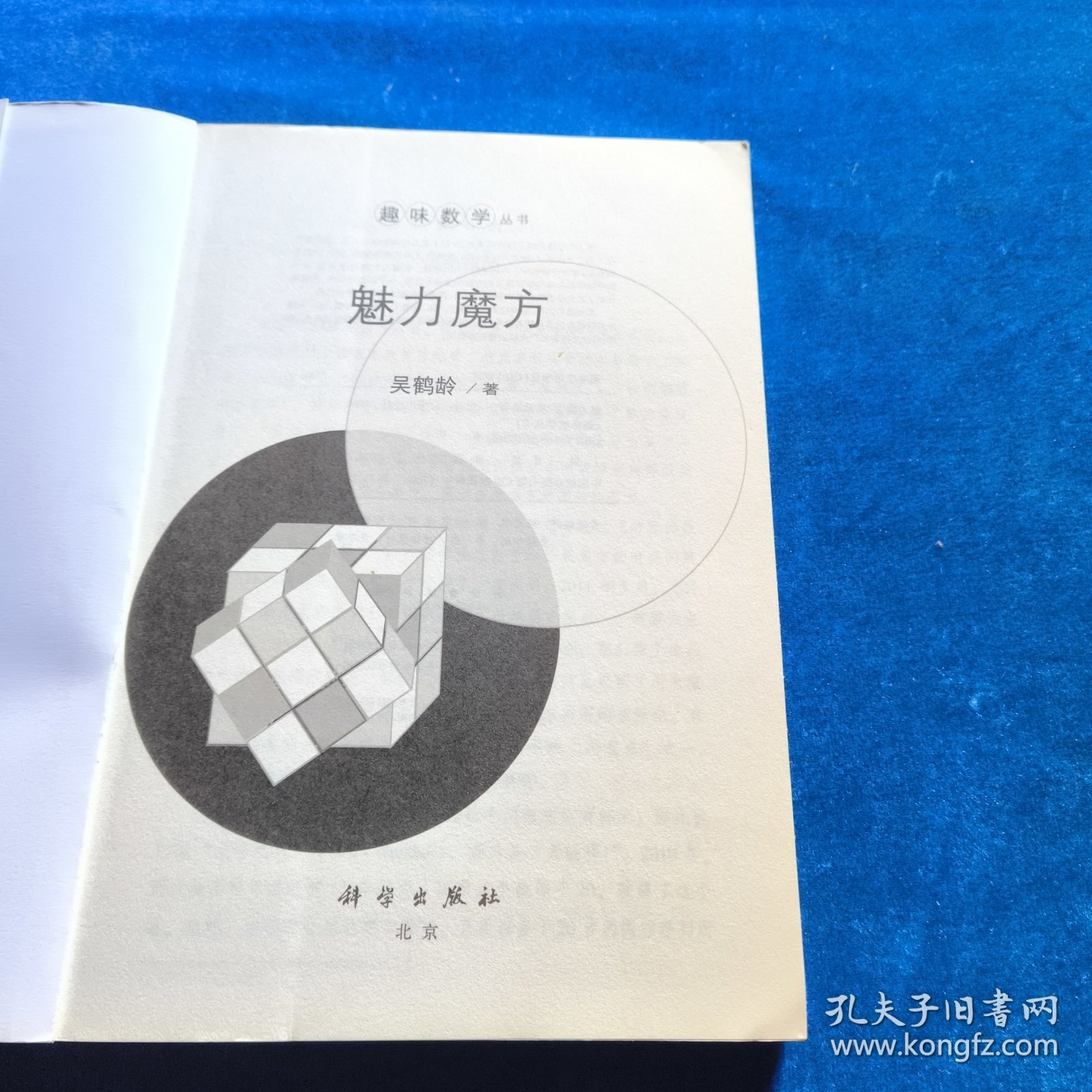 趣味数学丛书：魅力魔方