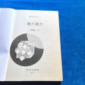 趣味数学丛书：魅力魔方