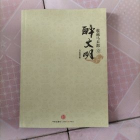 收藏马未都1：醉文明