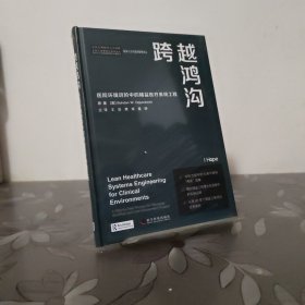跨越鸿沟：医院环境进阶中的精益医疗系统工程（精装版）