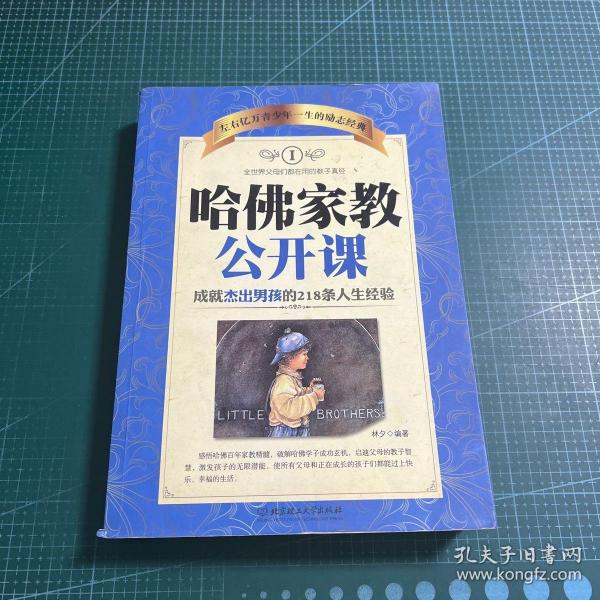 哈佛家教公开课1：成就杰出男孩的218条人生经验