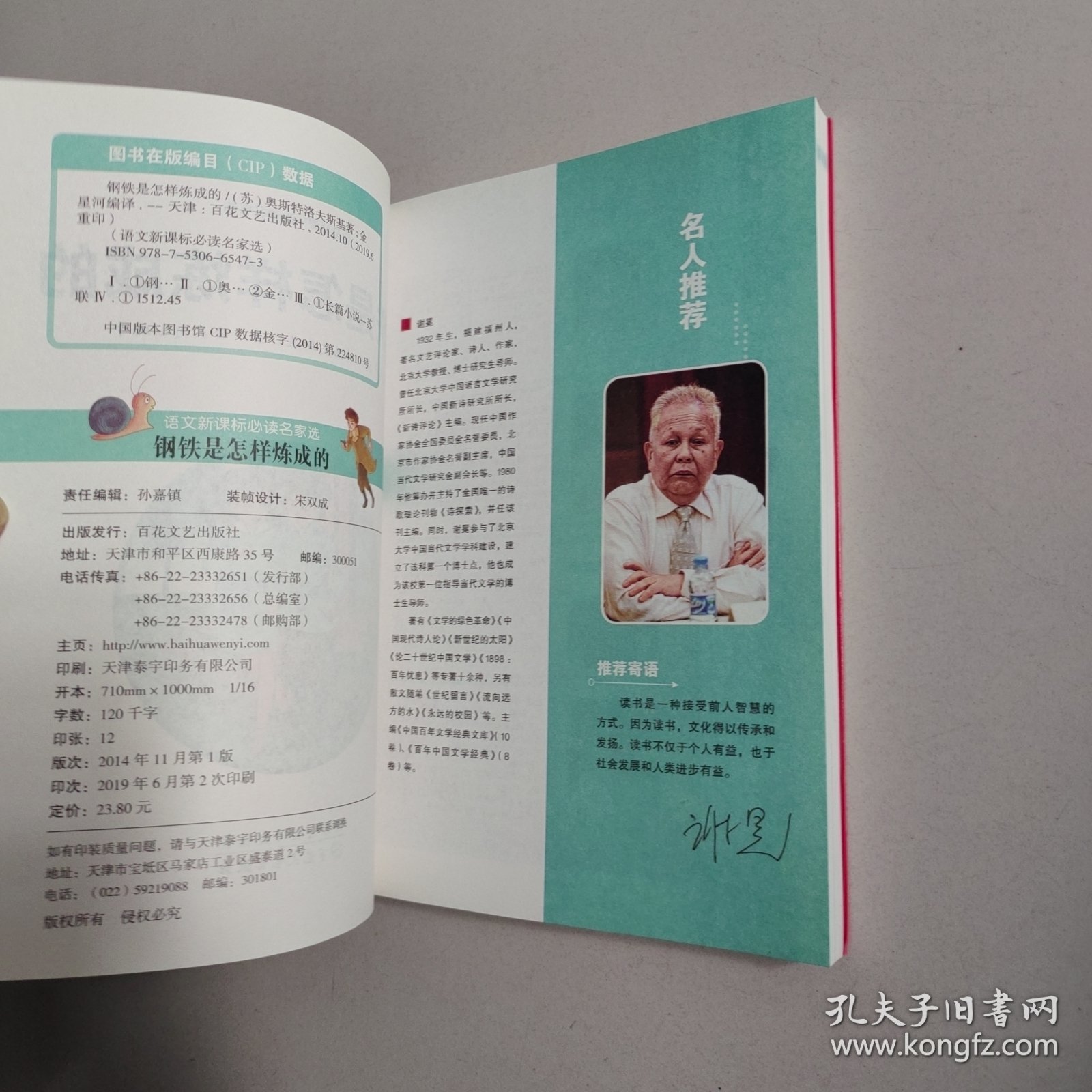 彩绘版钢铁是怎样炼成的