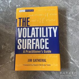 The Volatility Surface