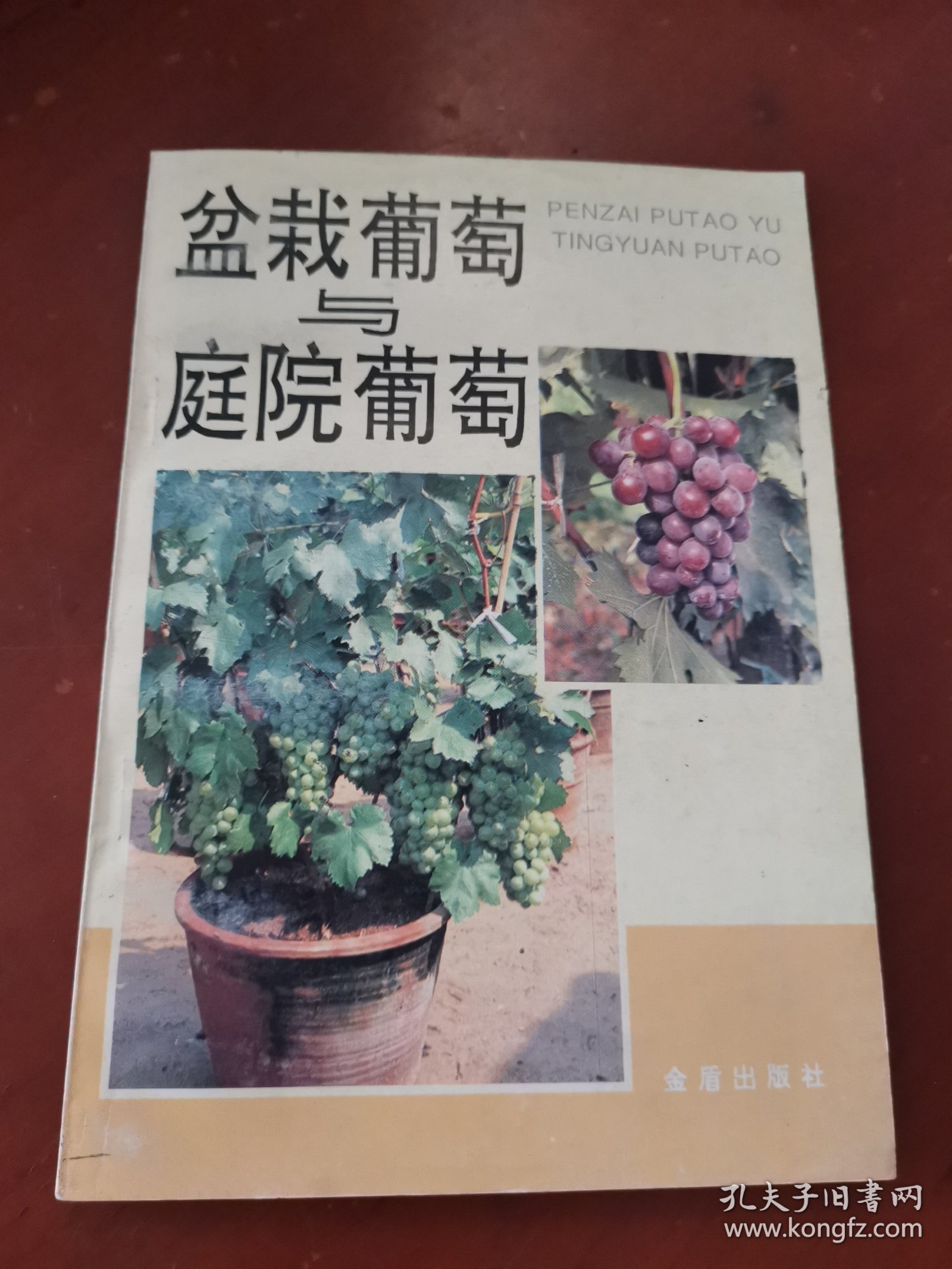 盆栽葡萄与庭院葡萄