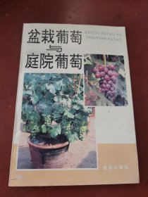 盆栽葡萄与庭院葡萄