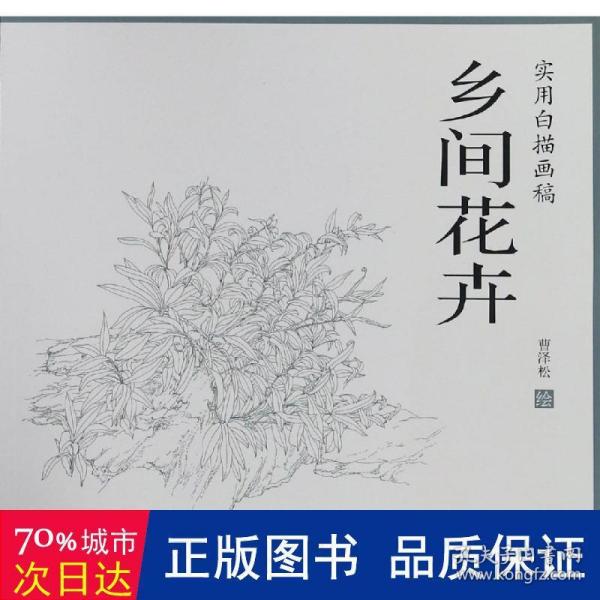 乡间花卉/实用白描画稿