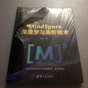 MindSpore深度学习高阶技术