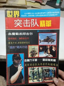 世界突击队精华