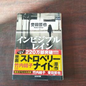 インビジブルレイン (光文社文库)（日文原版，有护封）