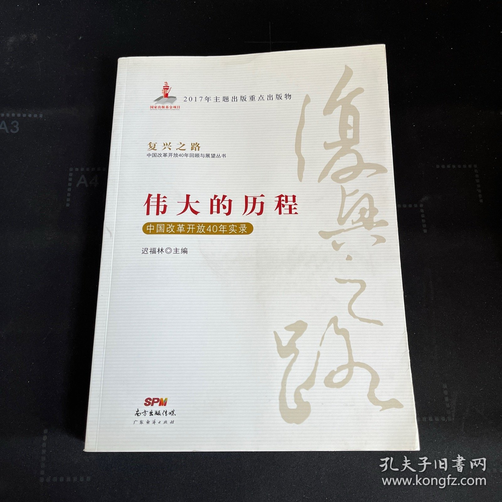 伟大的历程—中国改革开放40年实录(复兴之路：中国改革开放40年回顾与展望丛书）