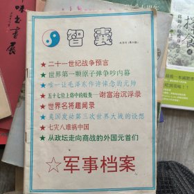 智囊（双月刊第六期）