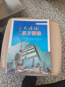 中华科技传奇丛书：从大雁塔到东方明珠