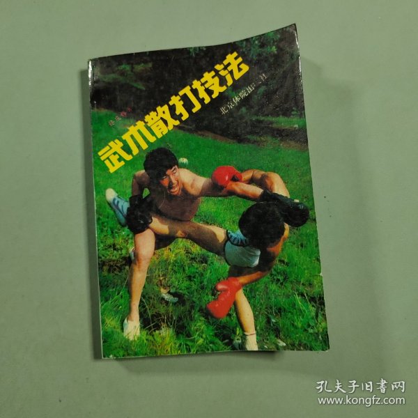 武术散打技法