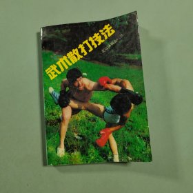 武术散打技法