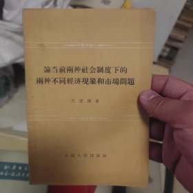 论当前两种社会制度下的两种不同经济现象和市场问题