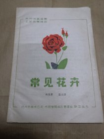 常见花卉