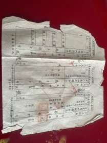 开阳文献 1951年开阳县专筹粮收据+收据查报+收据存根，空白有公章