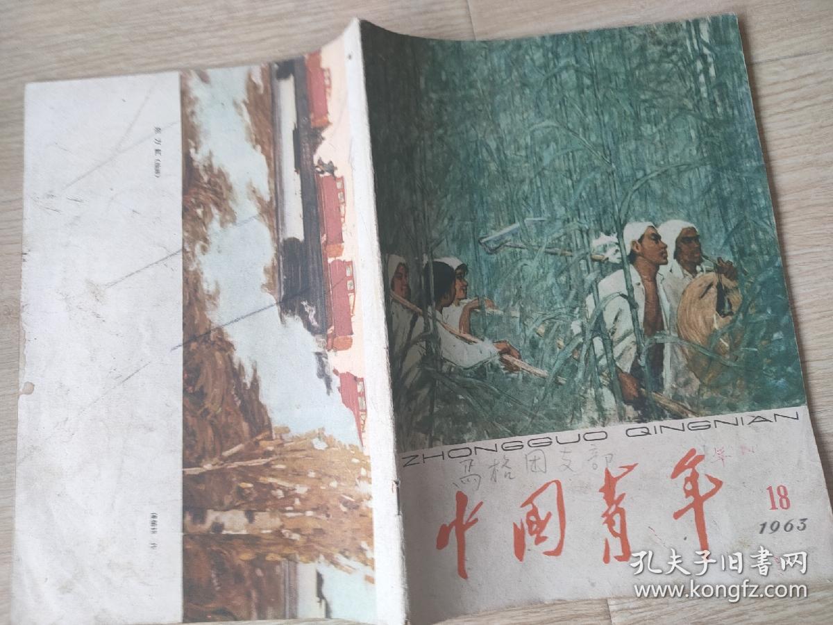 中国青年(1963年第18期)
