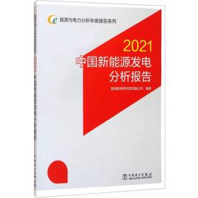 能源与电力分析年度报告系列2021中国新能源发电分析报告