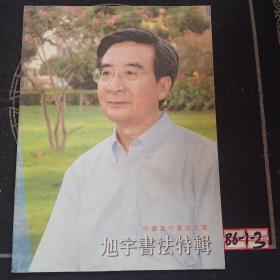 中国当代书法大家 旭宇书法特辑