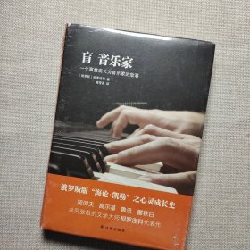 盲音乐家