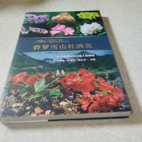 碧罗雪山杜鹃花