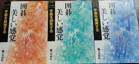 【日本原版围棋书】围棋美感 手筋的研究与鉴赏（全3卷/套，日本棋院著）