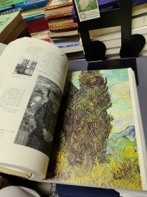 《凡·高:插图本书信体自传》【正版现货,品如图所有图片都是实物拍摄】