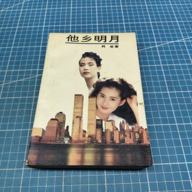 他乡明月