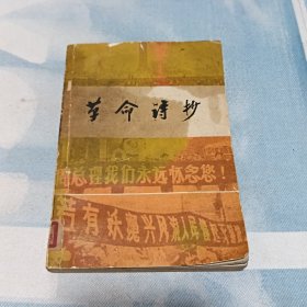 《革命诗抄》（中国青年出版社）