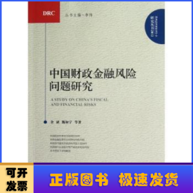 中国财政金融风险问题研究