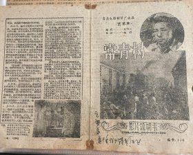 1958年电影《常青树》电影说明书宣传单戏单赵丹导演魏鹤铃蒋锐高正仲星火孙永平王静安主演