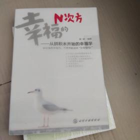 幸福的N次方：从拼积木开始的幸福学