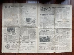 湖南日报1989年（4版）