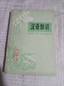 汉语知识4.5包邮