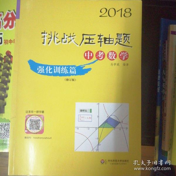 2018挑战压轴题·中考数学 强化训练篇（修订版）