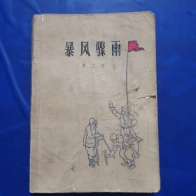 暴风骤雨